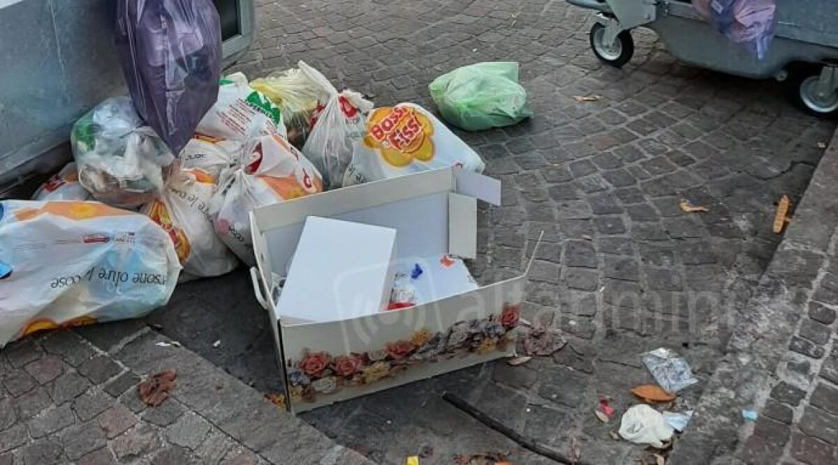 Immondizia in giro e bidoni pieni in via Parmense a Rimini. La segnalazione - 