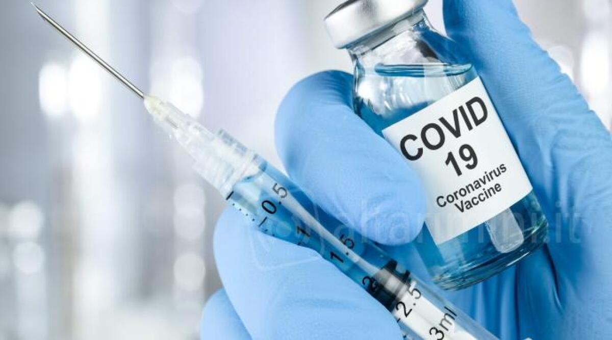 Covid, governo verso l'obbligo di vaccino per gli over 50 - Vaccino Coronavirus