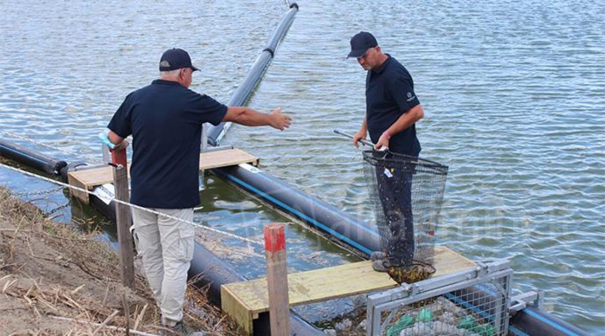 Rimini, barriere anti inquinamento del fiume hanno raccolto oltre 6 mc di plastica - 