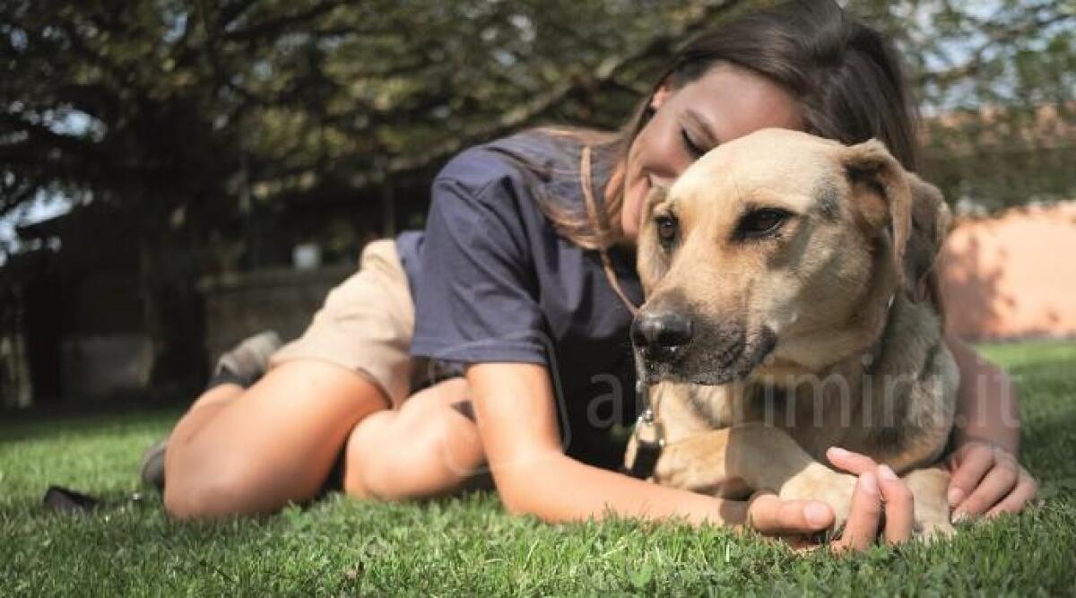 Sanpa Dogs 'un rifugio per due', un aiuto per il canile di San Patrignano - 