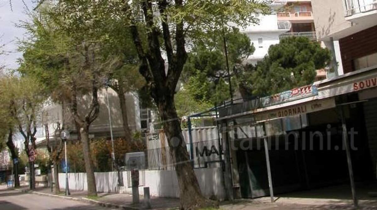 Cattolica, inizia la potatura degli alberi in via Carducci -