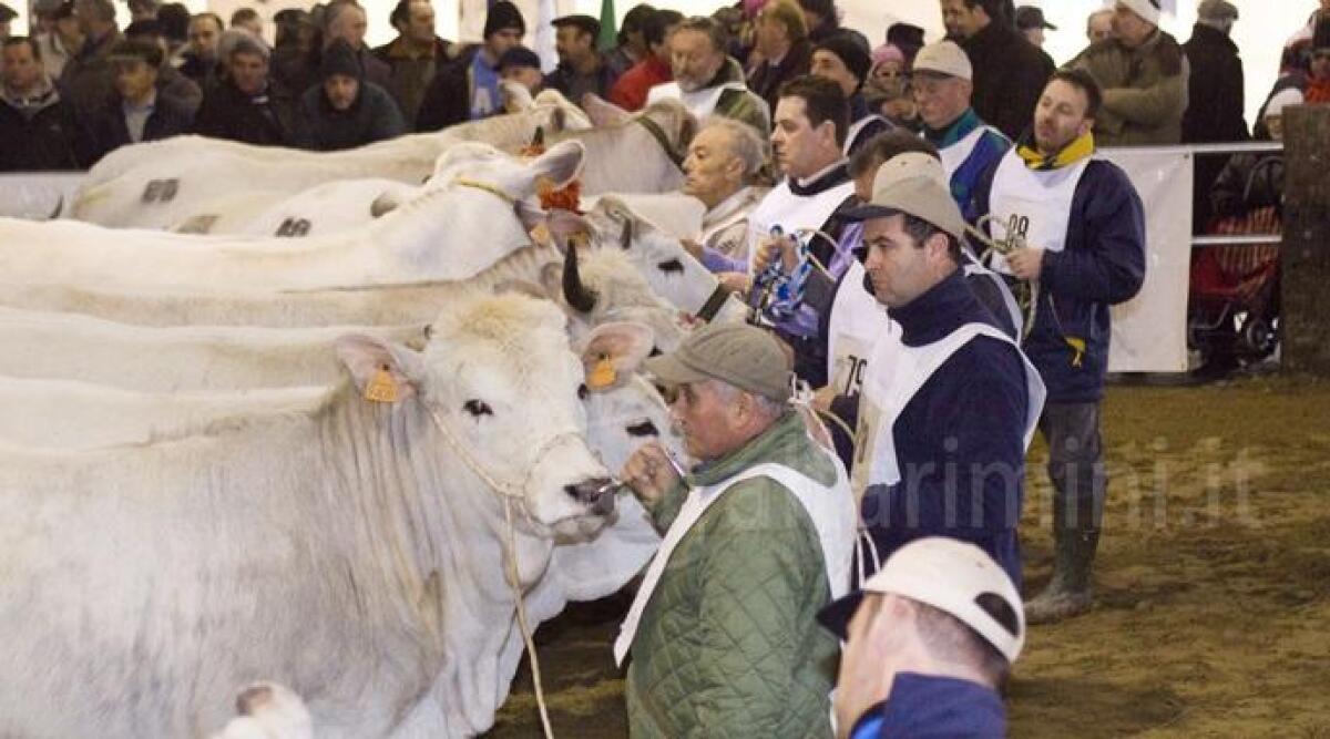 Morciano, Bonaccini inaugura la fiera di San Gregorio: ecco il programma -