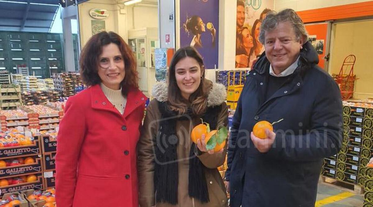 Rimini, l'assessore Mattei al Caar. Indino ringrazia l'amministrazione: "grazie per la vicinanza" - 