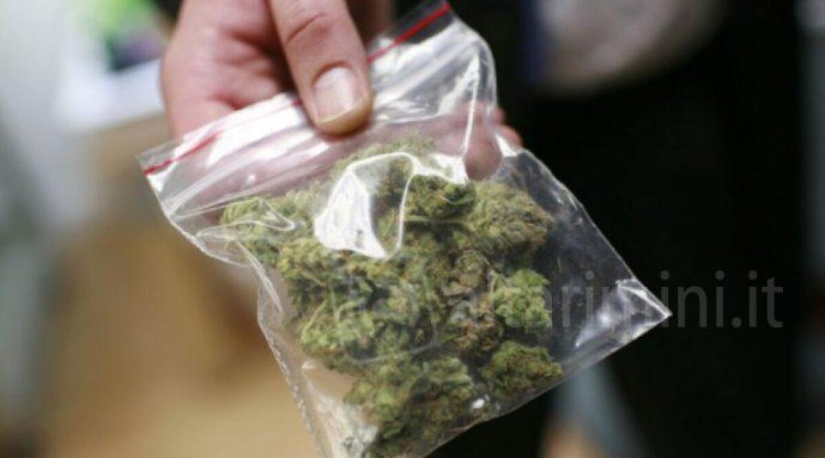 Nella borsa da palestra e negli slip nascondeva marijuana, arrestato -