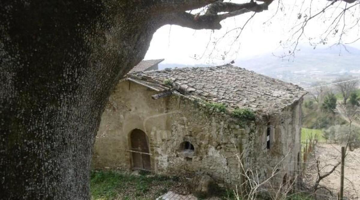 Oasi Torriana, le iniziative aperte a tutti per conoscere e valorizzare il territorio -