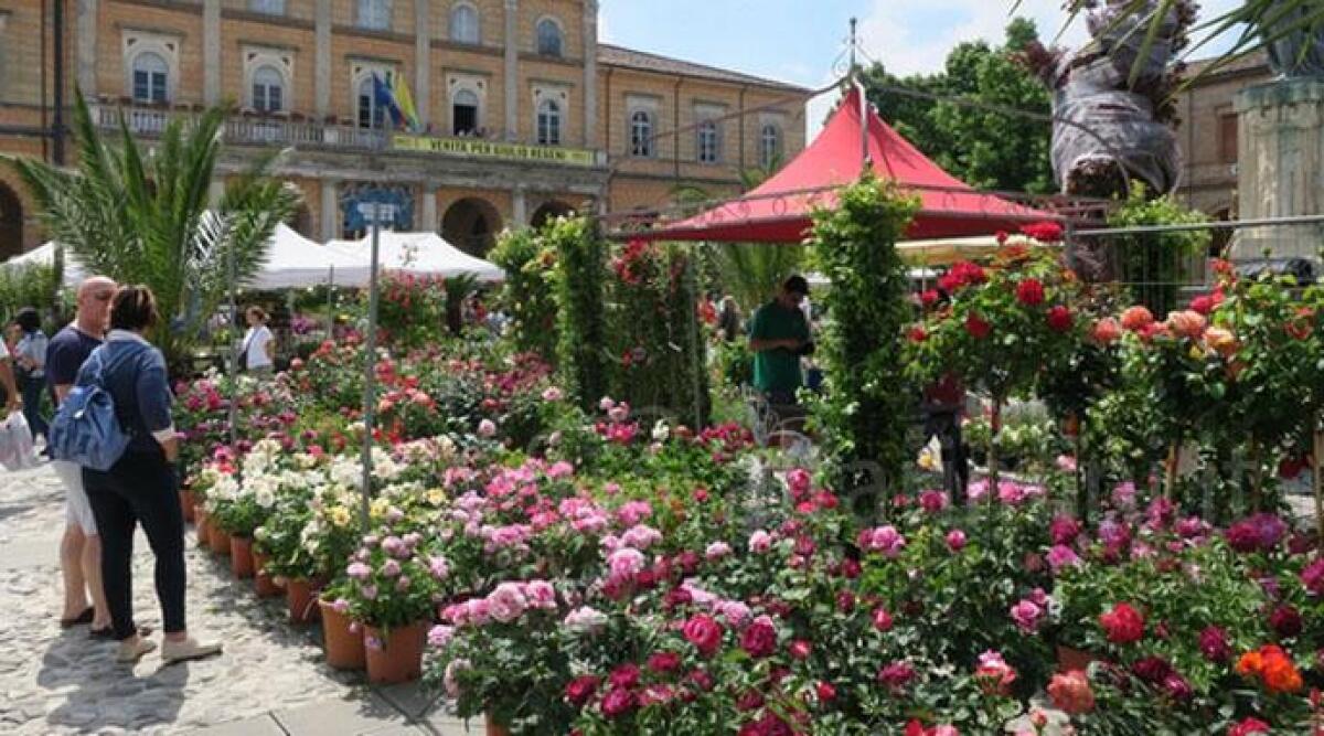 Santarcangelo, le date di Balconi Fioriti: appuntamento il 14 e il 15 maggio - 