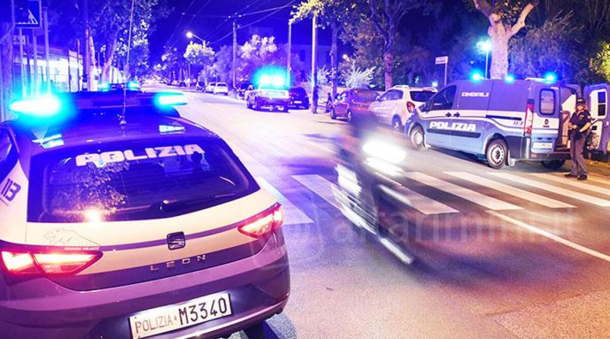 Rimini, controlli a tappeto anche l'unit&agrave; cinofila da Spadarolo a Miramare - Archivio