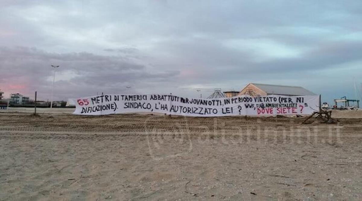 Piante rimosse per Jova Beach Party, 'erano specie aliene' -
