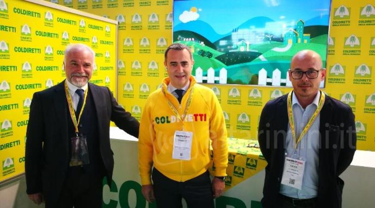 Coldiretti Rimini, il direttore Corsini nominato consigliere della Camera di Commercio - 