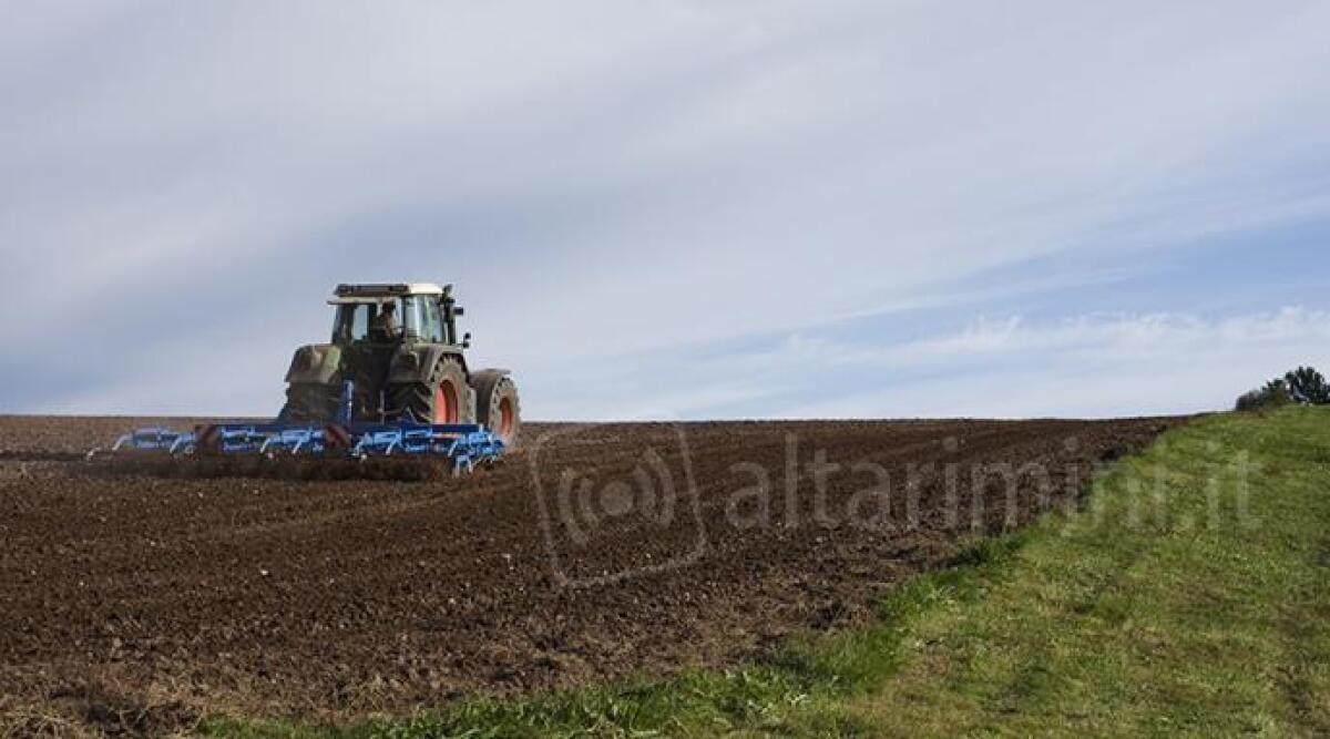 Rinnovo del contratto degli operai agricoli, il plauso di Coldiretti Rimini - 