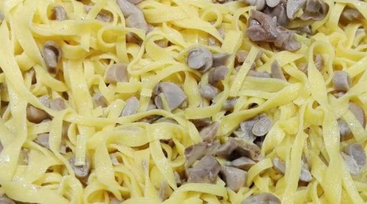 Nell'entroterra di Rimini torna la Sagra del fungo Prugnolo: anche lo sport protagonista - 