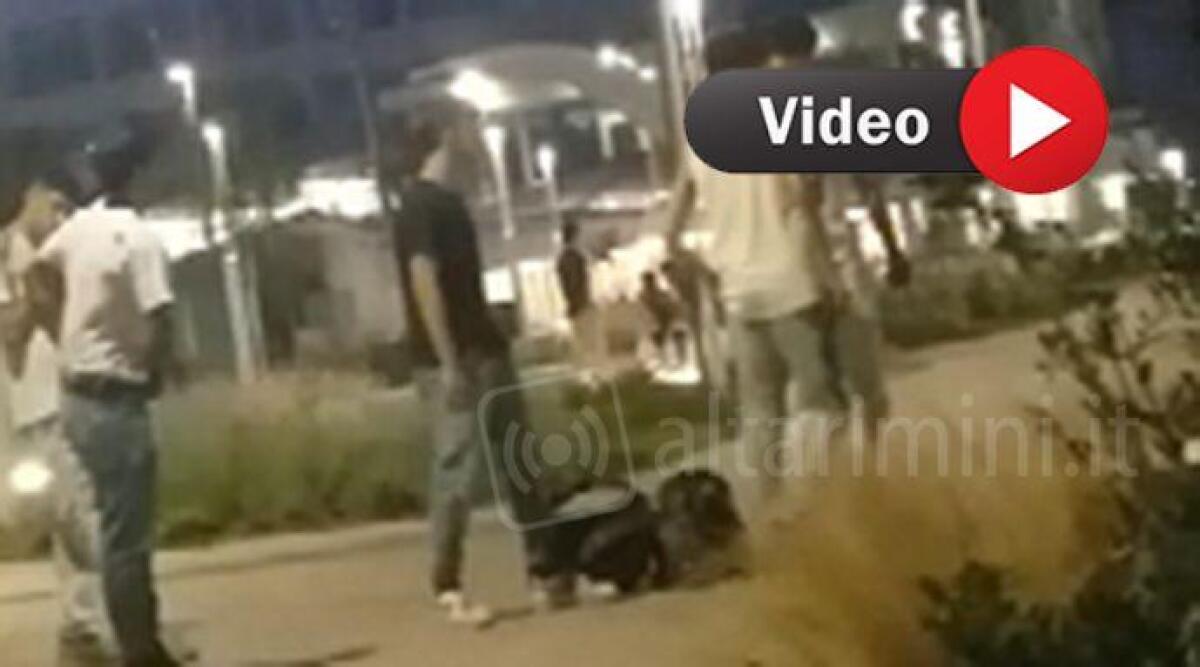 Rissa tra magrebini: "così si uccide l'immagine di Riccione". La segnalazione -