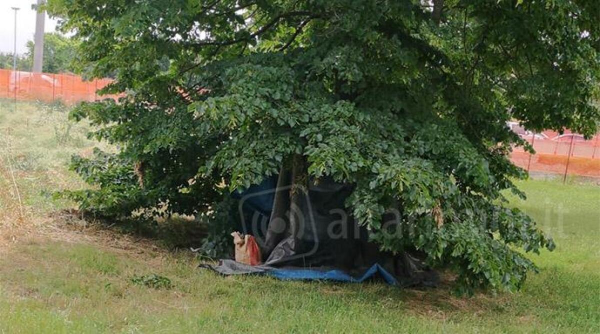 Bivacchi, urla e cazzotti: il parco di via Santerno in degrado, protestano i cittadini -