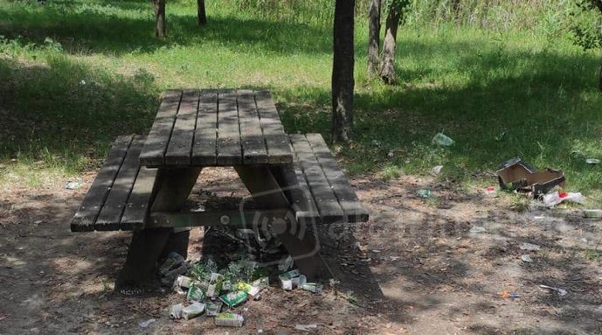 Rimini, niente cestini nell'area picnic: rifiuti sparsi in giro -
