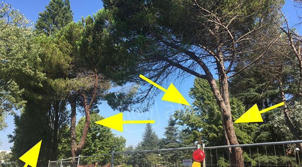 Via il verde dal parco della cava, cittadini furiosi: 'é il Donbass di Rimini' -