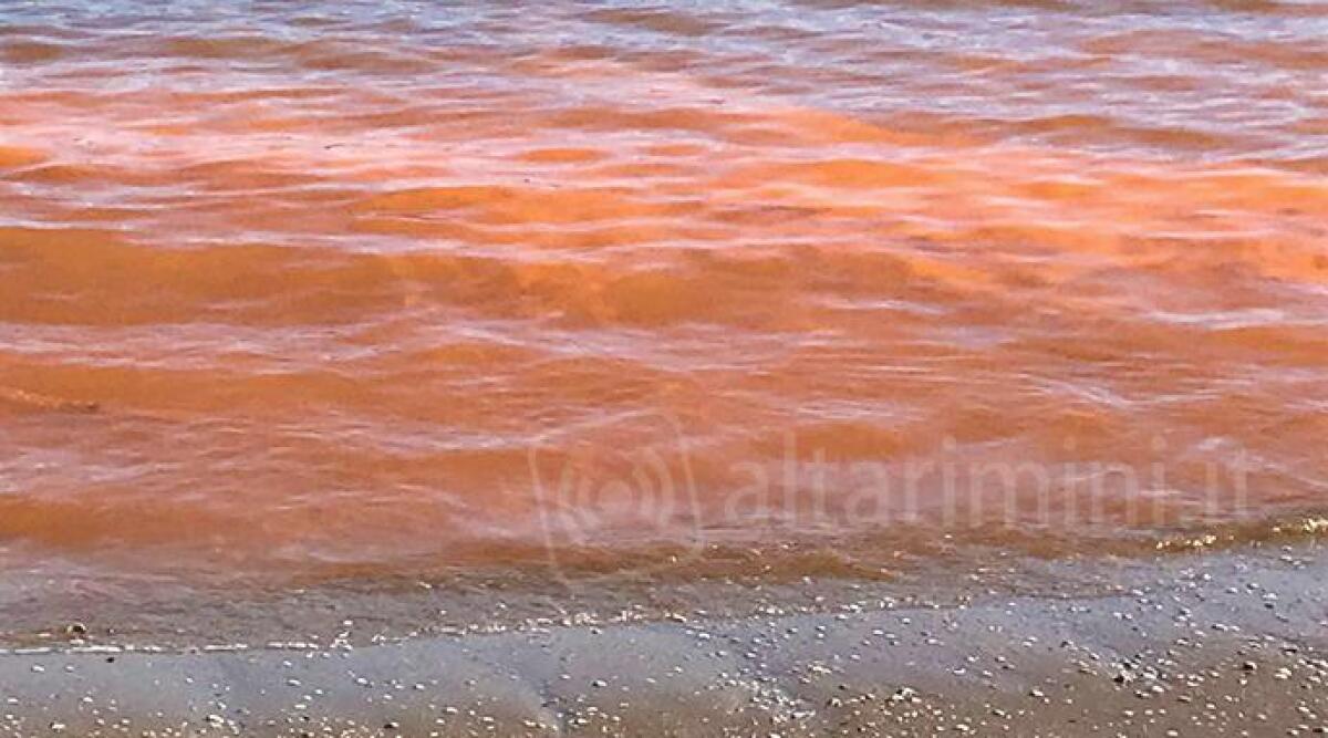 Acqua del mare di colore rosso. Arpae: &quot;Non &egrave; pericolosa&quot; - 