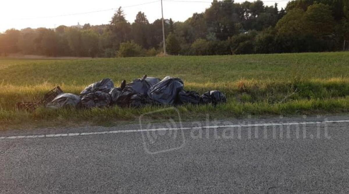 Rifiuti abbandonati, linea dura a Misano: 80 le multe nei primi mesi dell'anno -