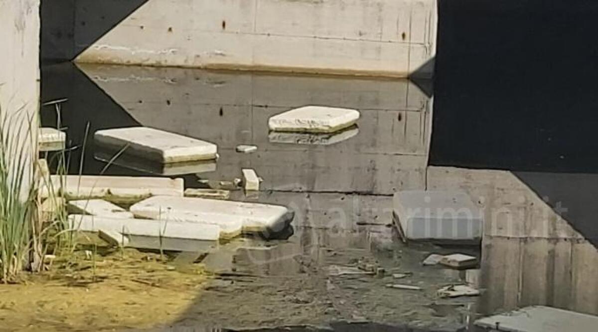 Riccione, via dell&rsquo;Ecologia &lsquo;invasa&rsquo; dalle zanzare: La segnalazione - 