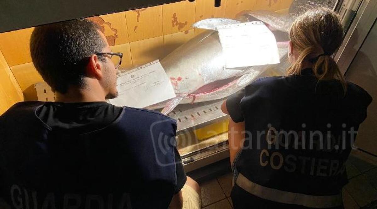 Pesca un tonno di oltre un quintale, ma è vietato: sanzionato dalla Guardia Costiera -
