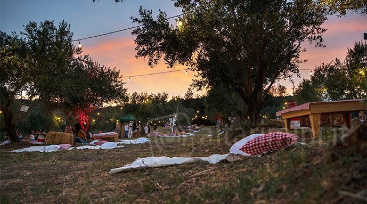 Il picnic tra gli ulivi spopola anche in Alta Valmarecchia -