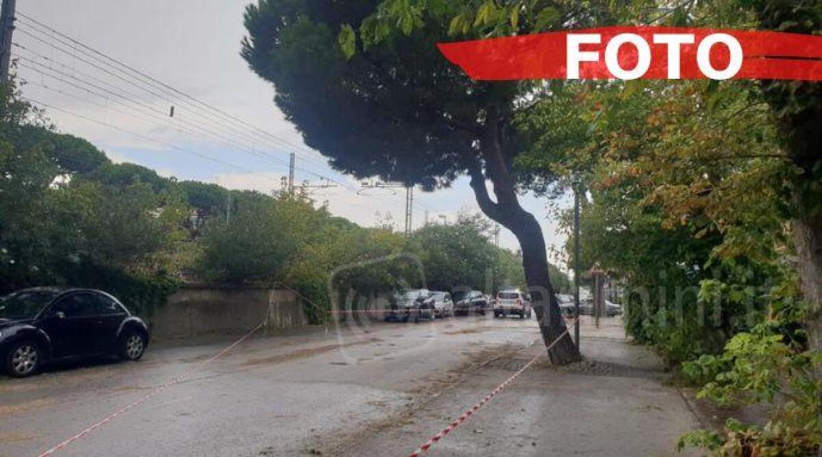 Riccione, albero pericolante: chiusa via Catullo - 