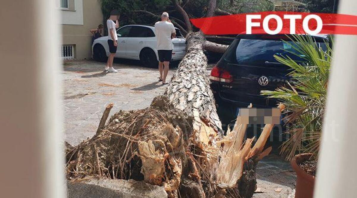 Maltempo, in viale Regina Elena albero crolla su auto in sosta. Danni in tutto il riminese - 