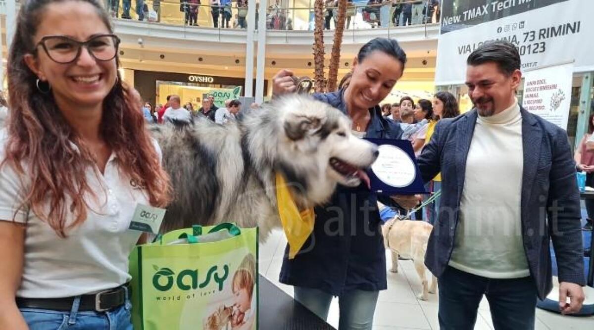 Rimini, alle Befane una 'giornata da cani' con l'Arca di No&egrave; di Mediaset - 
