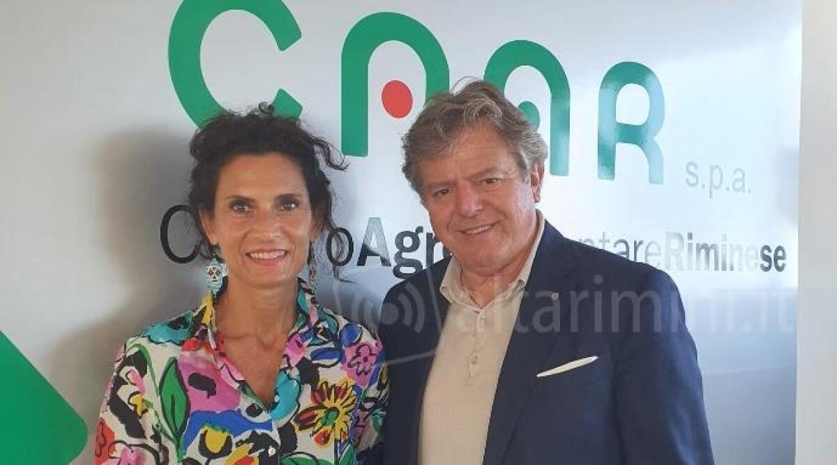 Food Hub fa tappa a Rimini: un convegno sull'importanza della pesca sostenibile -