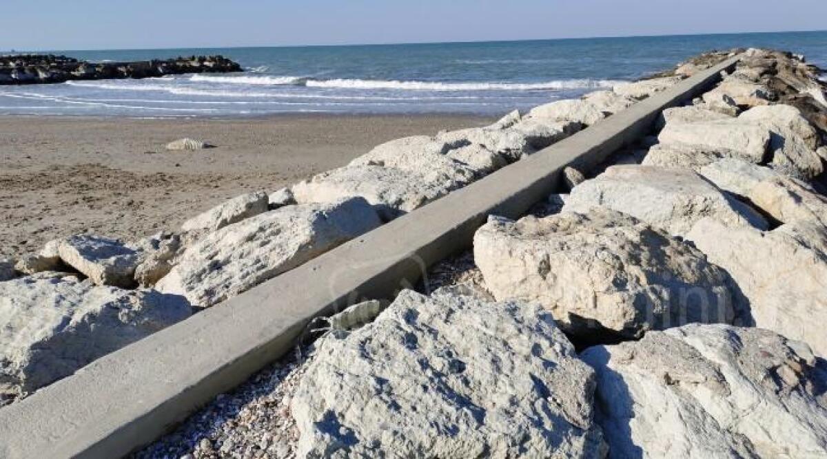 Misano, cittadini e Wwf insieme per pulire spiaggia e scogli dai rifiuti -
