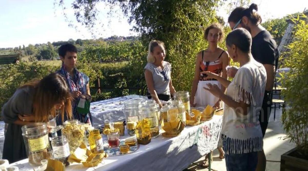 Transizione ecologica ed identità territoriale, a Novafeltria il 'Montefeltro green festival' -