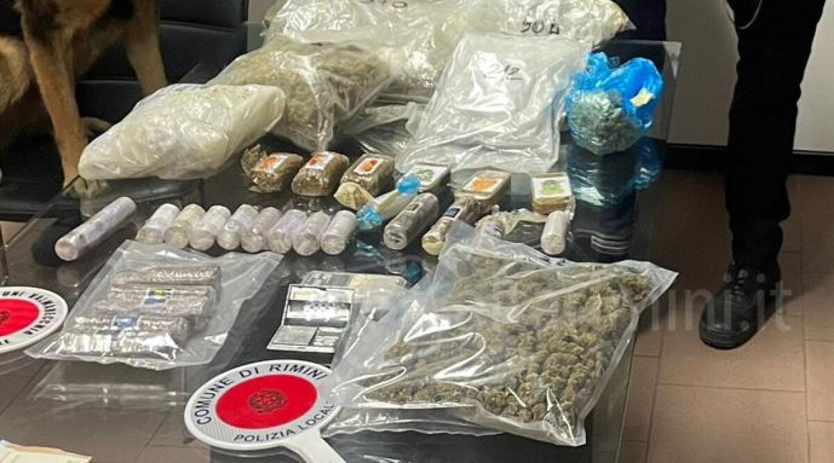 Riforniva di droga Rimini, Santa Giustina e Santarcangelo: sequestrati 5 kg di stupefacente - 