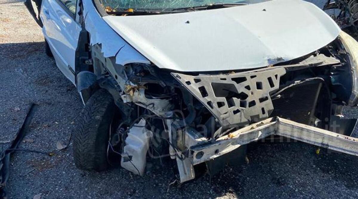 Cinghiale attraversa la Marecchiese e si scontra con un'auto -