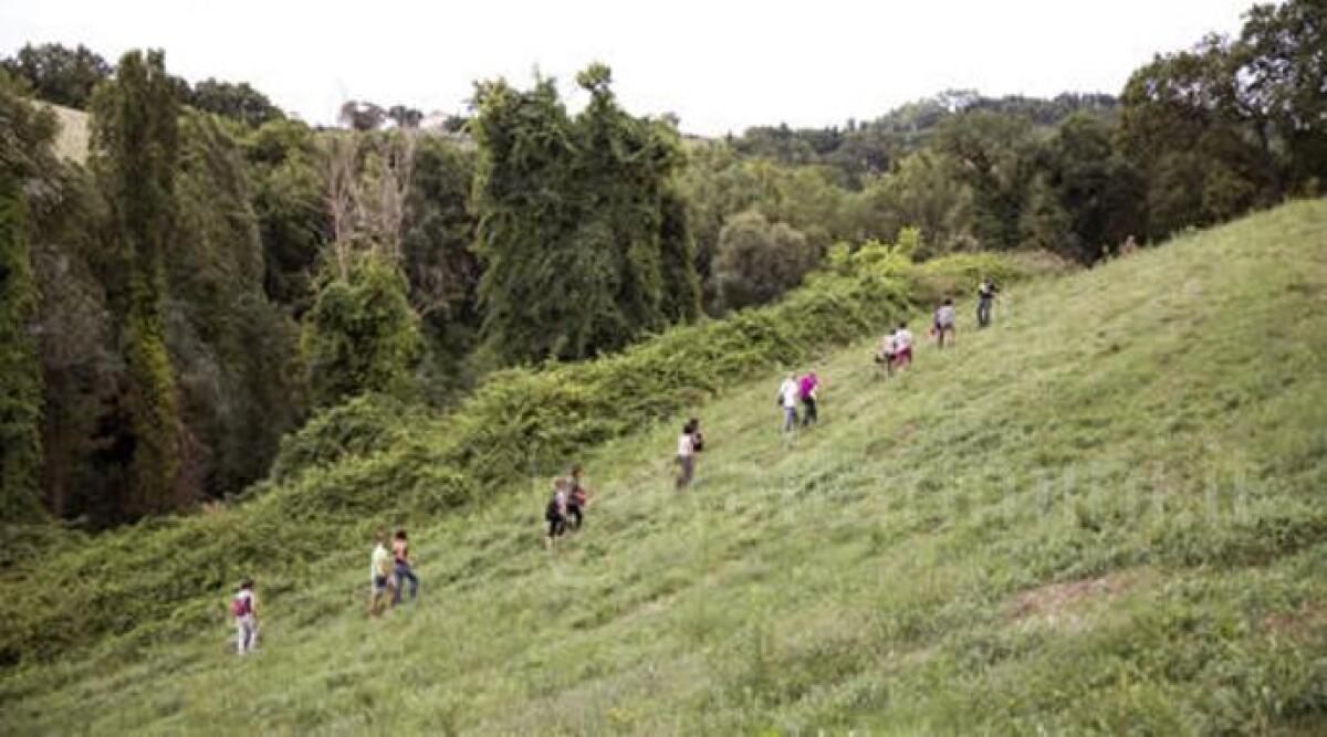 Valorizzare la rete dei sentieri dell'entroterra, aperto il bando da 50.000 euro - 
