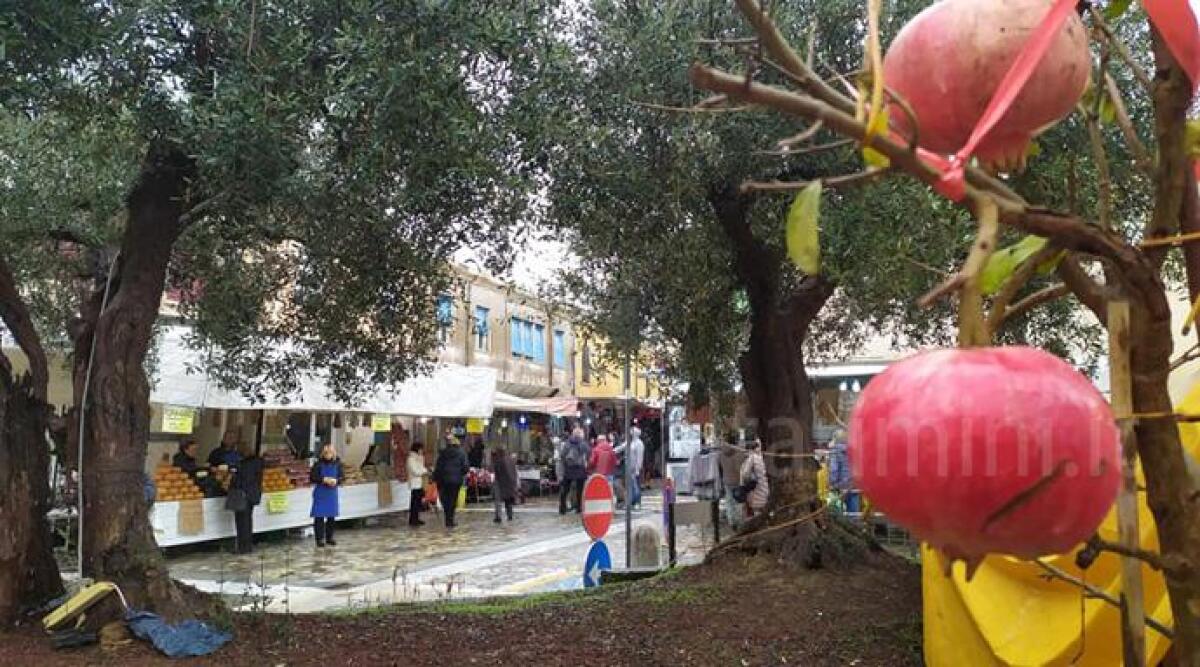 I frantoi romagnoli protagonisti della Fiera dell'oliva di Coriano -