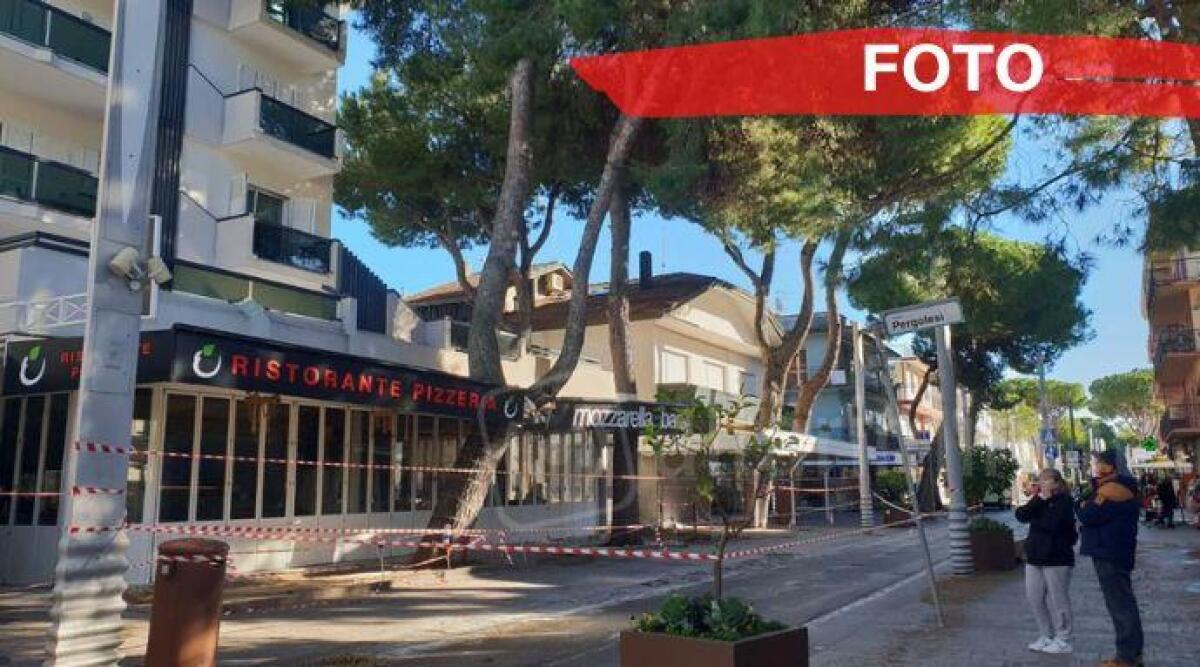 Maltempo, albero sradicato dal forte vento: chiusa strada a Riccione - 