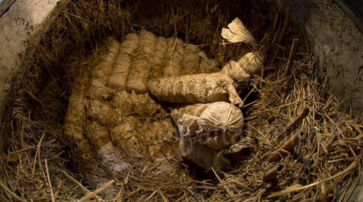 L'Ambra di Talamello premiata tra i migliori formaggi al mondo -