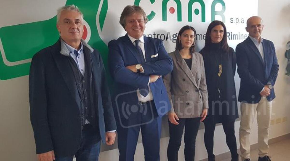 Rimini, nasce una piattaforma per distribuire le eccedenze di cibo a chi ha bisogno - 