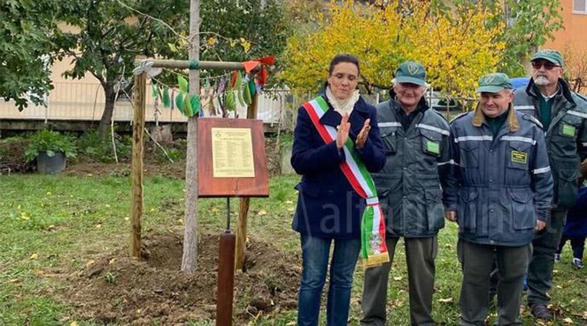 Verucchio festeggia i nuovi nati con un nuovo albero e una targa -