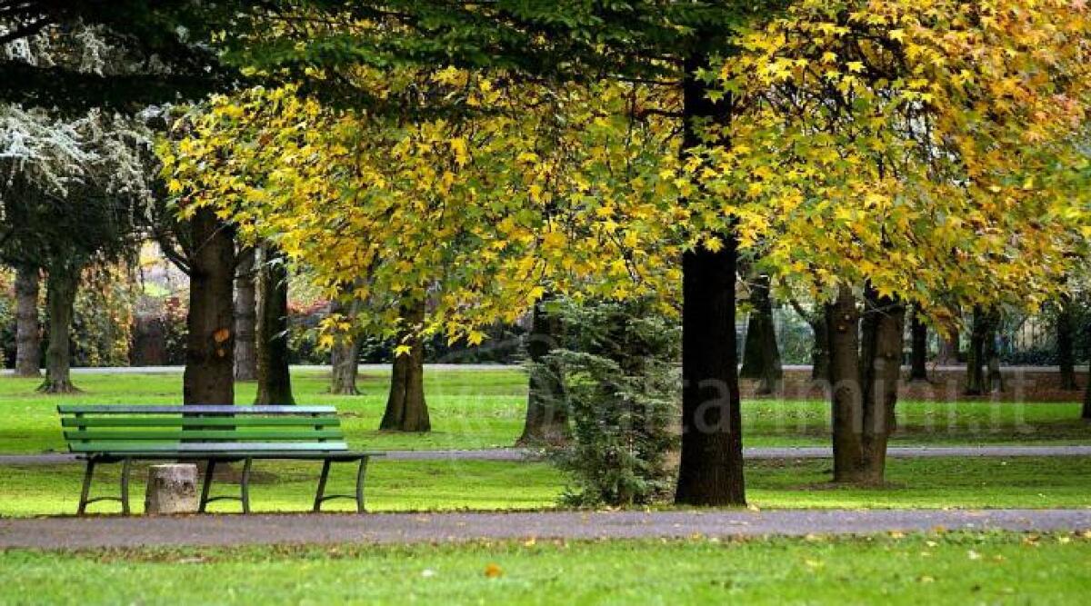 Rimini, riqualificazione del Parco Pertini per potenziare la sicurezza urbana - 