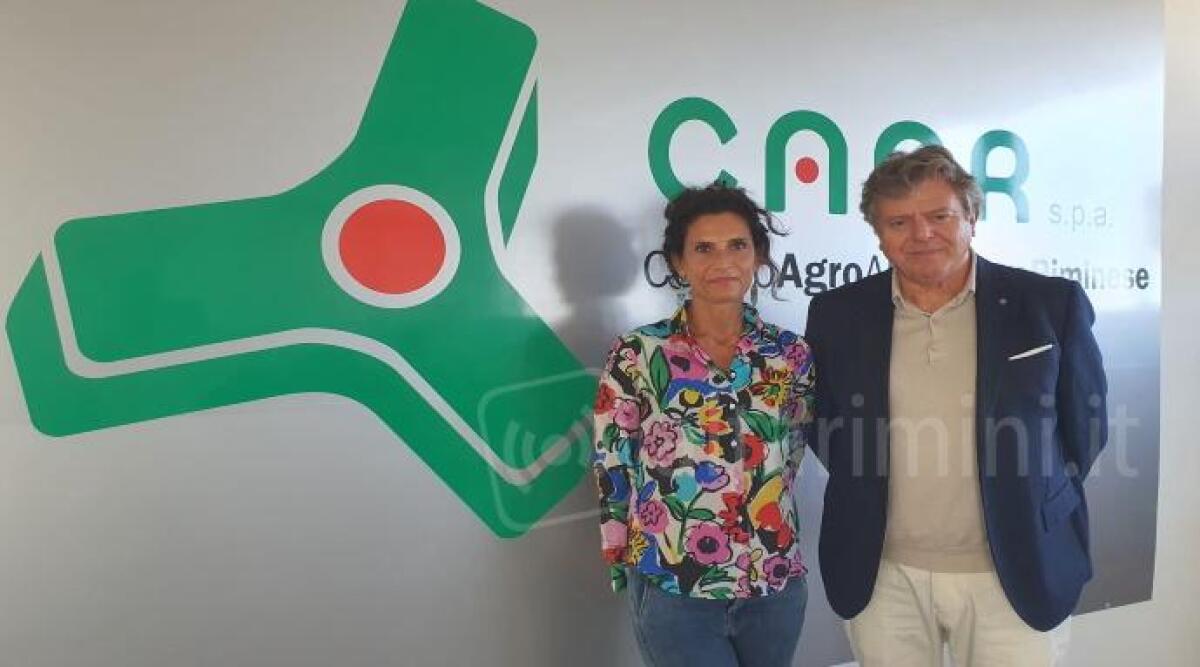 Rimini: una ‘Piattaforma Logistica Solidale’, il nuovo progetto del CAAR nel segno della lotta allo spreco alimentare -