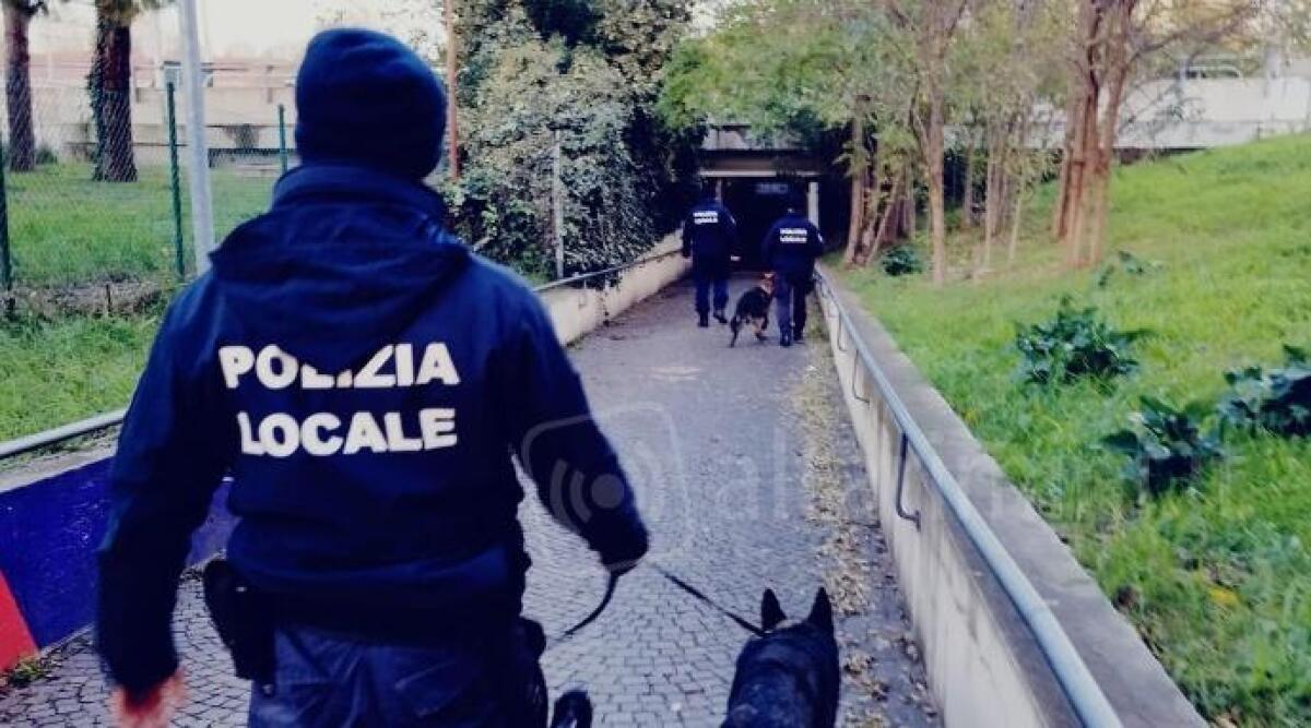 Getta l'involucro e scappa alla vista dei cani, conteneva 100 grammi di hashish: arrestato - 