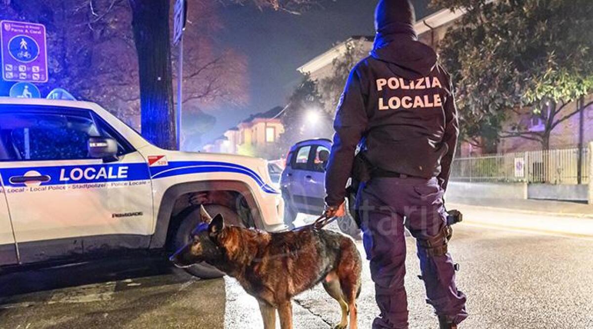 Rimini, padre disperato fa arrestare il pusher del figlio - Polizia locale di Rimini ARCHIVIO