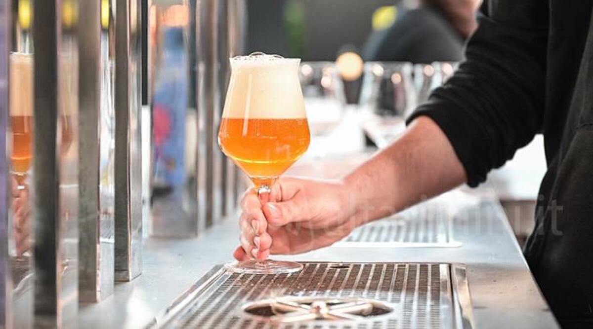 Rimini, Beer &amp; Food Attraction 2023 ospiter&agrave; grandi competizioni internazionali - 