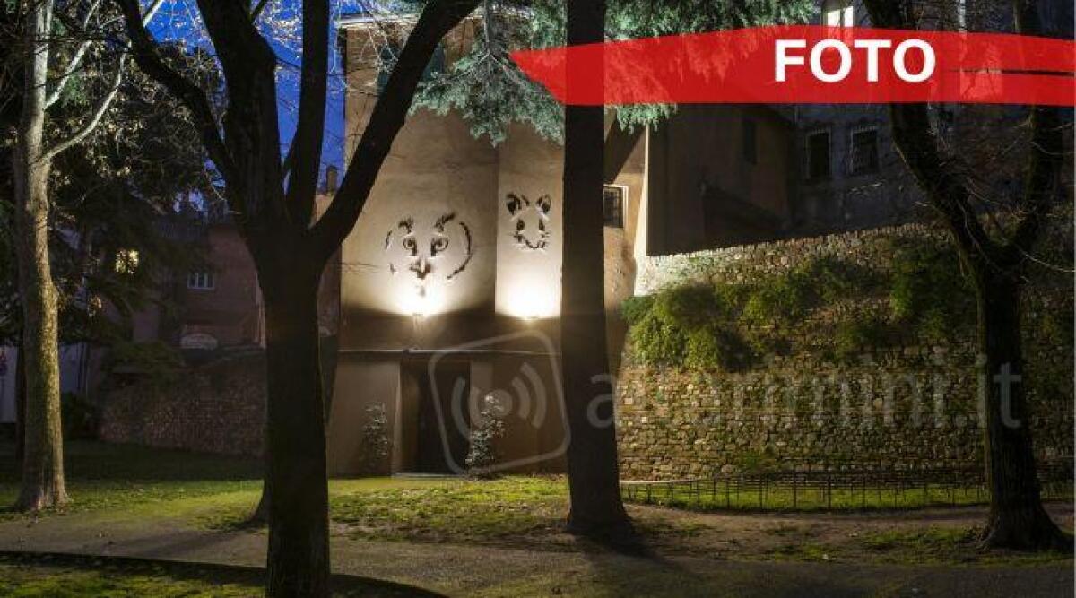 Una galleria d'arte a cielo aperto: le installazioni di Fabrizio Corneli nel centro di Santarcangelo - 