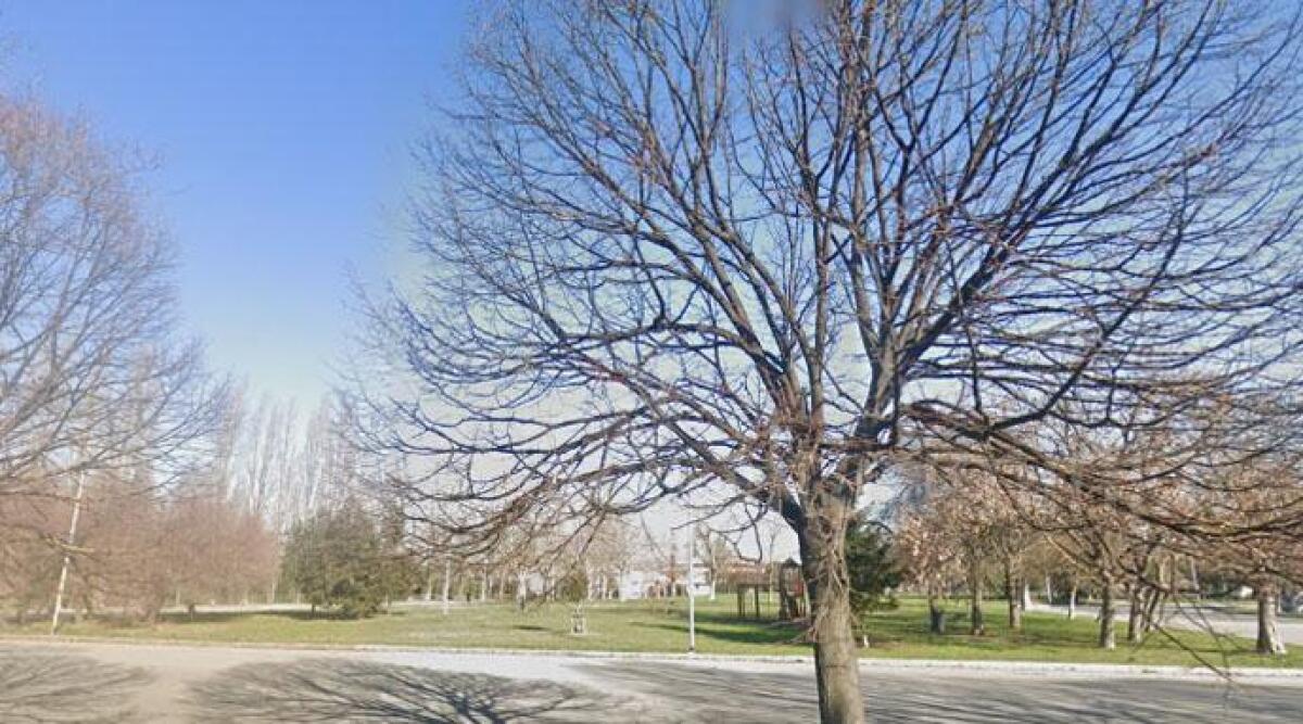 Nuova piscina, il futuro del Parco Don Tonino Bello: 'Diventer&agrave; area per sport all'aria aperta' - 