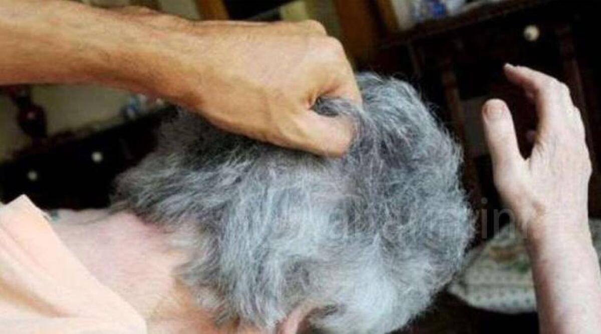 Mamma ottantenne presa a pugni e sputi: 'Fammi il pranzo, dammi i soldi della pensione' - 