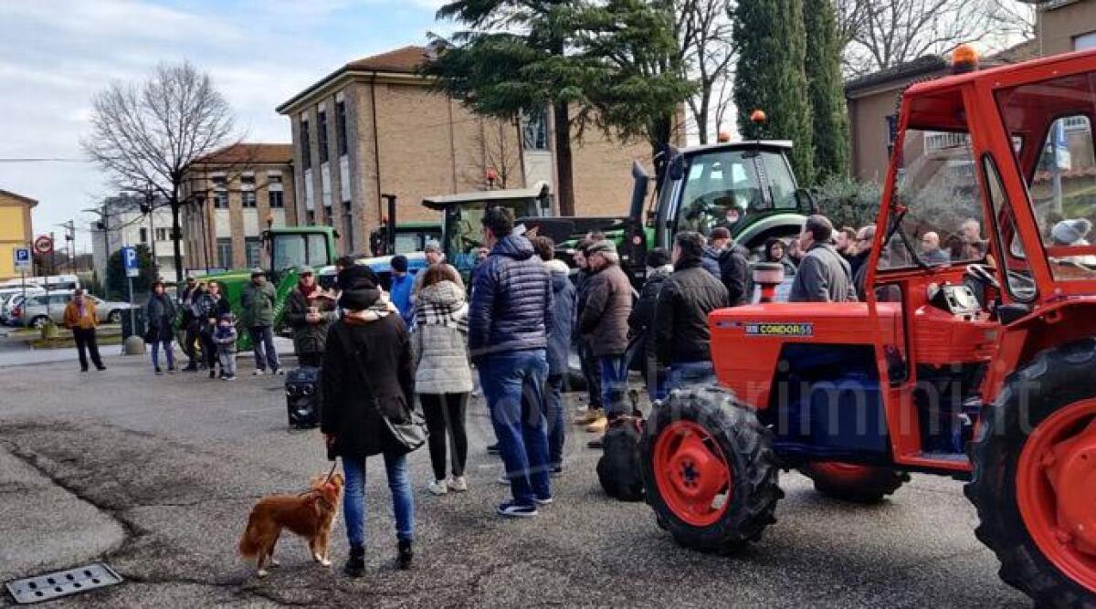 San Giovanni, torna il rito della benedizione degli animali in piazza -