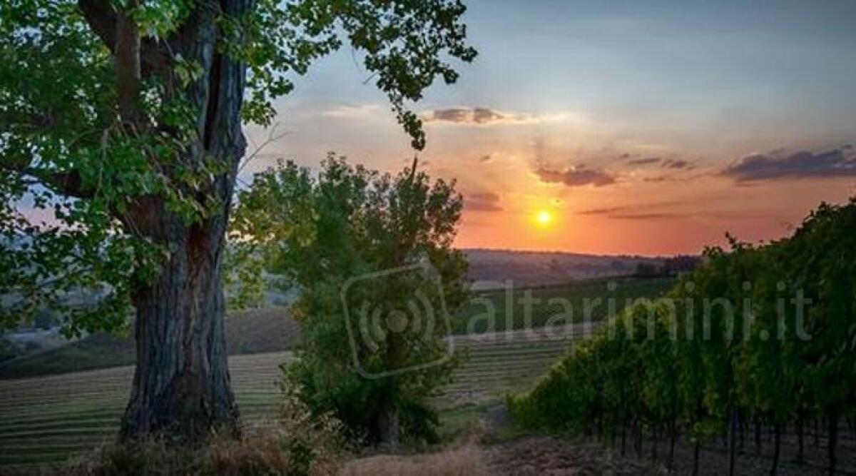 Coriano a piedi o in bici: una nuova Carta del Territorio tra sentieri e percorsi - La campagna di Coriano