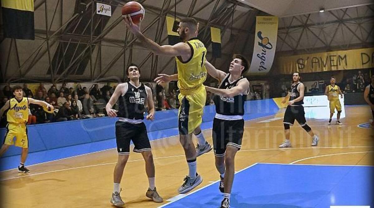 Basket C Silver, gli Angels dominano il FGifo Imola (103-56) - Foto Aldo Sgroi