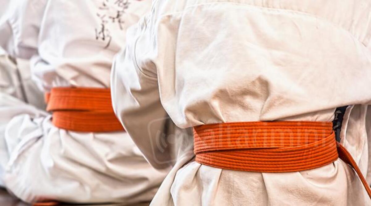 Molestava le sue piccole allieve: indagato maestro di arti marziali - Foto di repertorio